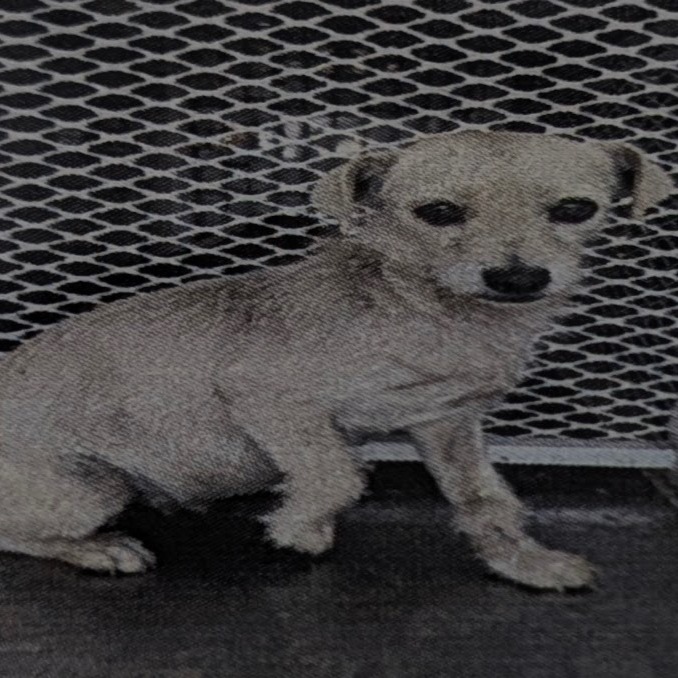 Fruitcake — thumbnail 2