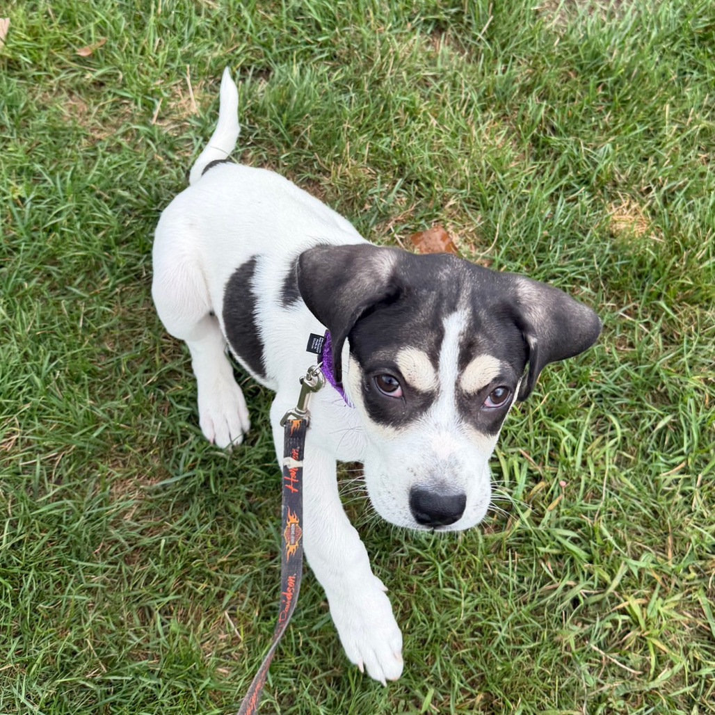 Tracker, photo 12
