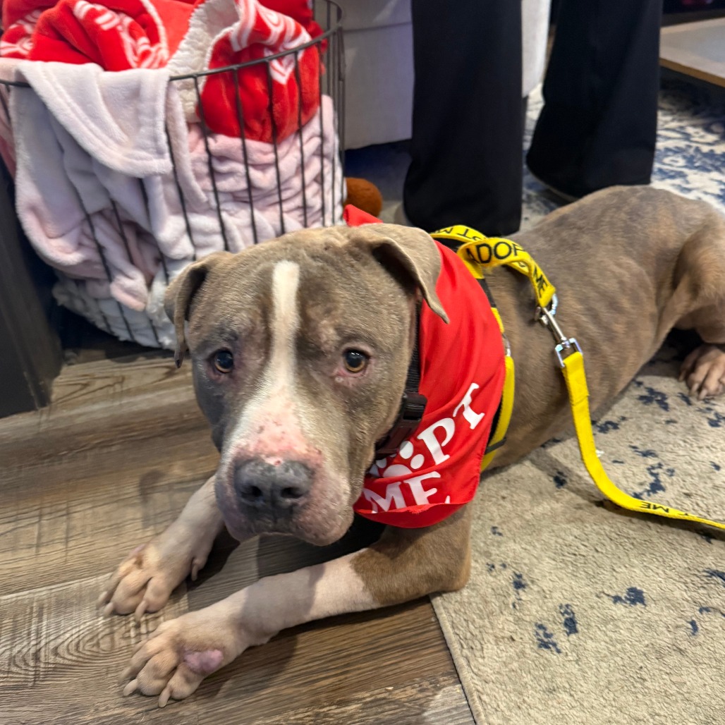 Fork — thumbnail 2