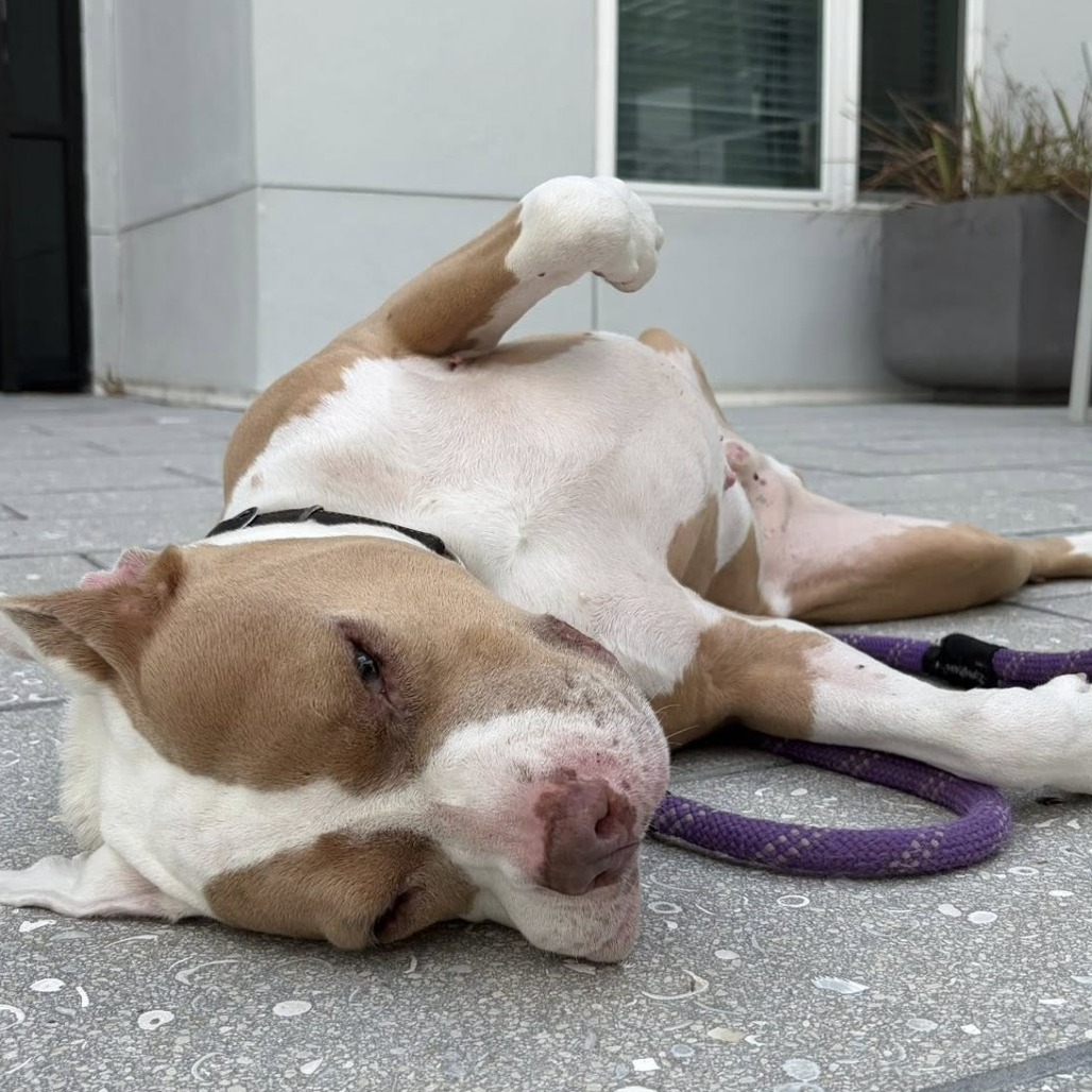 Lloyd, photo 6