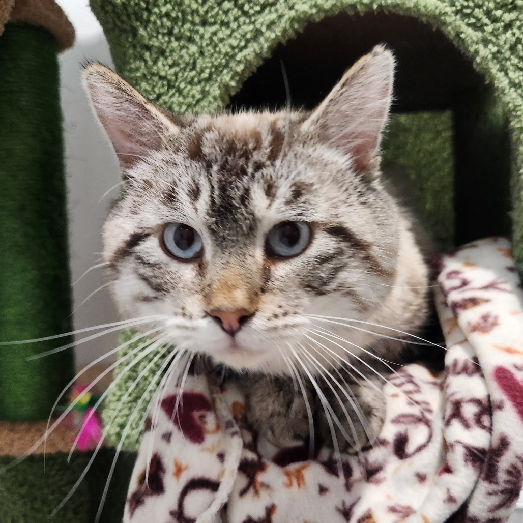 Chowder — thumbnail 2