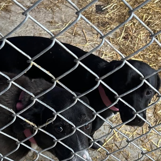 Hailey — thumbnail 2