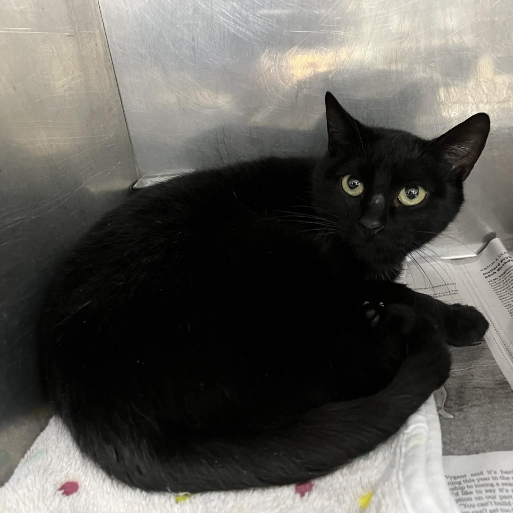 Johanna — thumbnail 2