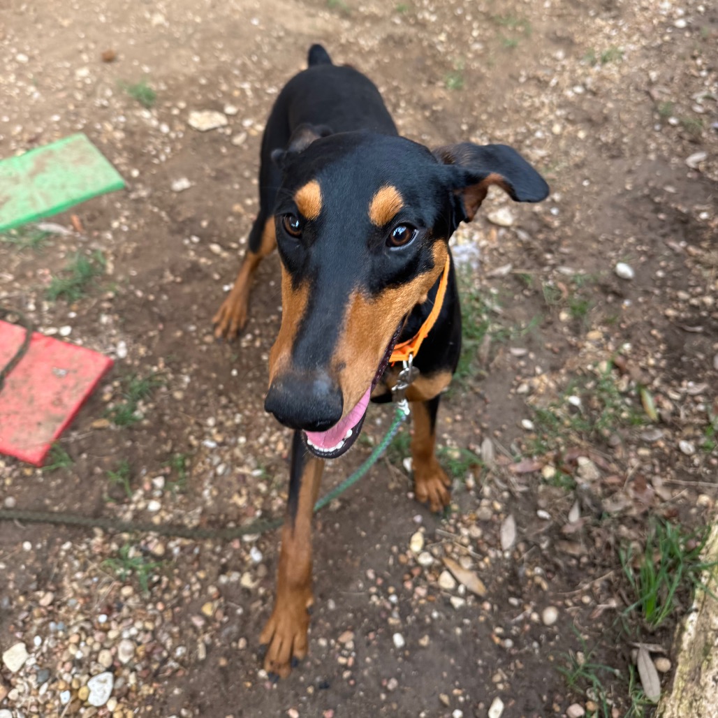 Venus — thumbnail 7