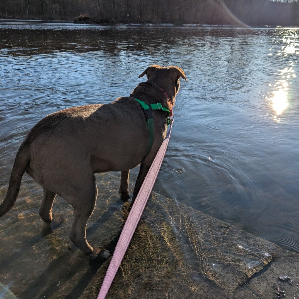 Rex, photo 22