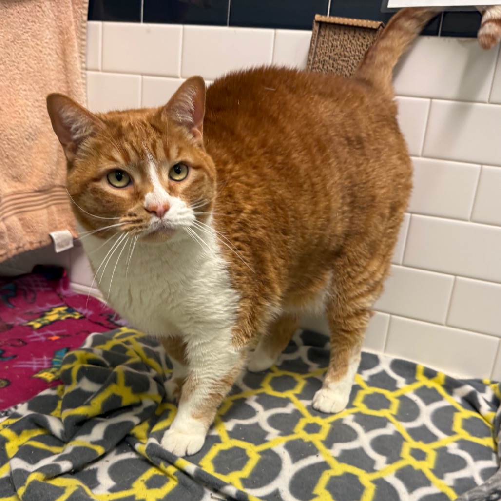 Photo of Freddy and QZ 7