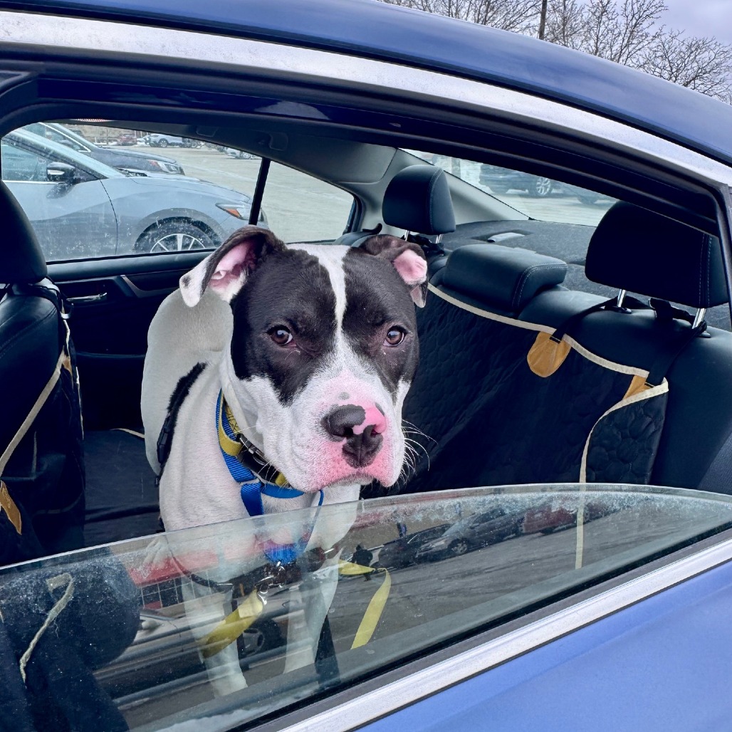 Photo of Sir Ian McKellen 5
