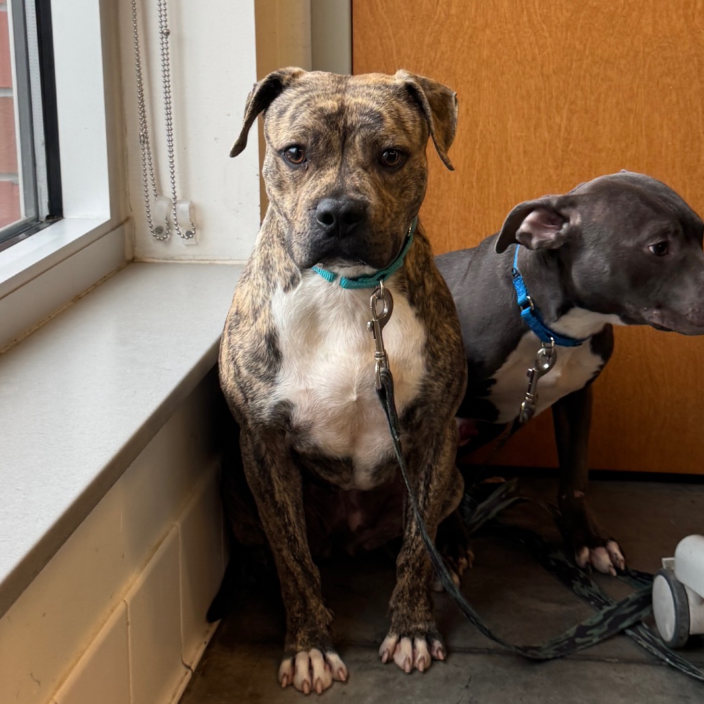 Photo of Baby Stripes 5