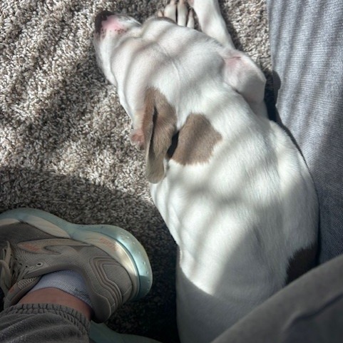 Missy photo 8