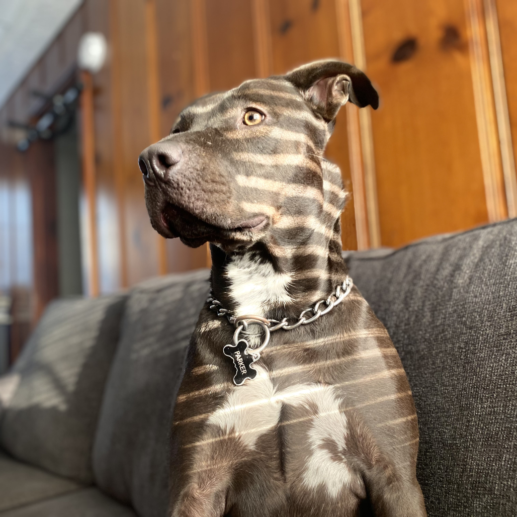 Parker