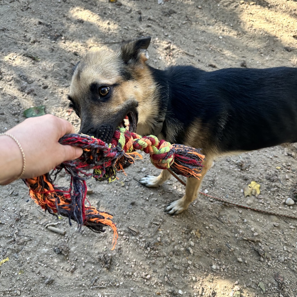 Andy — thumbnail 8