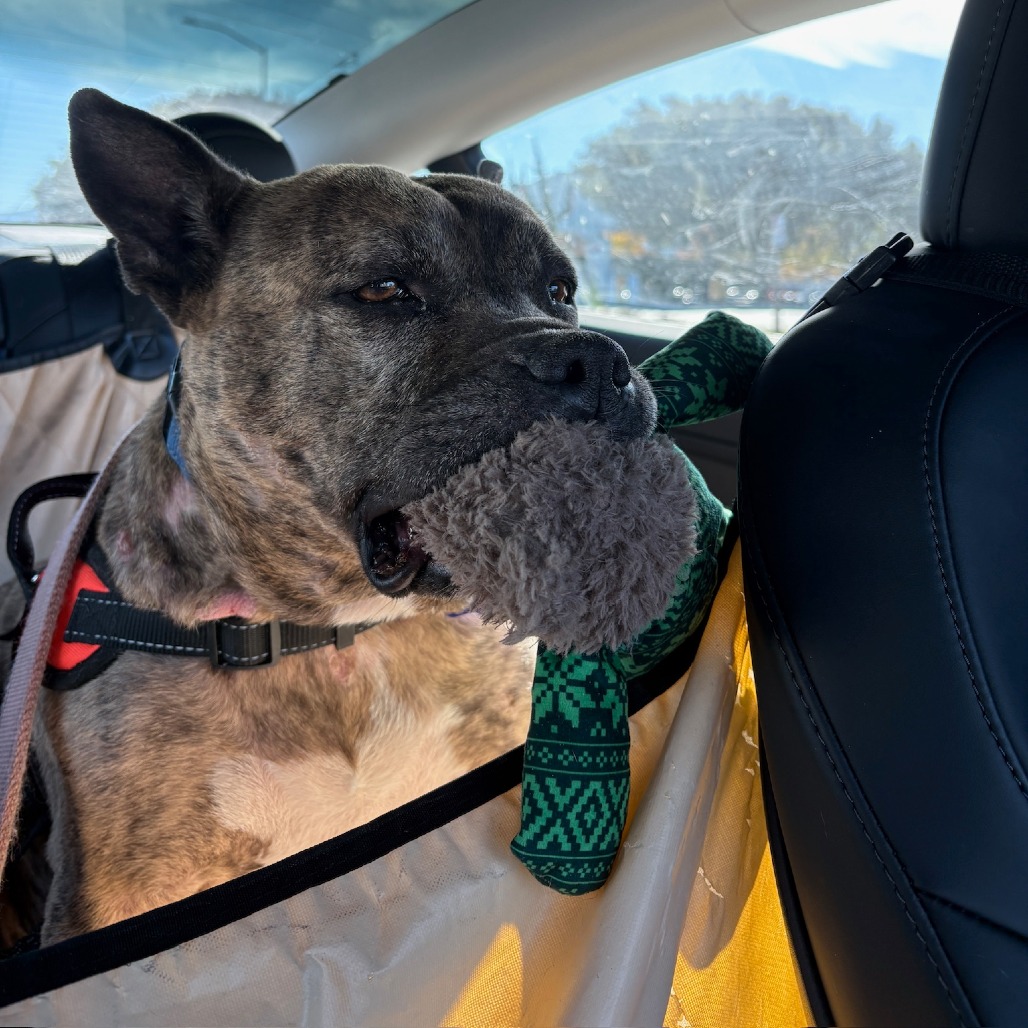 Mamas — thumbnail 5