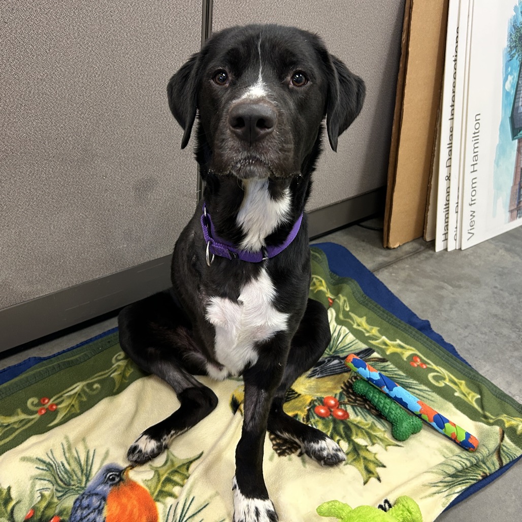 Photo of T.L. Frank 7