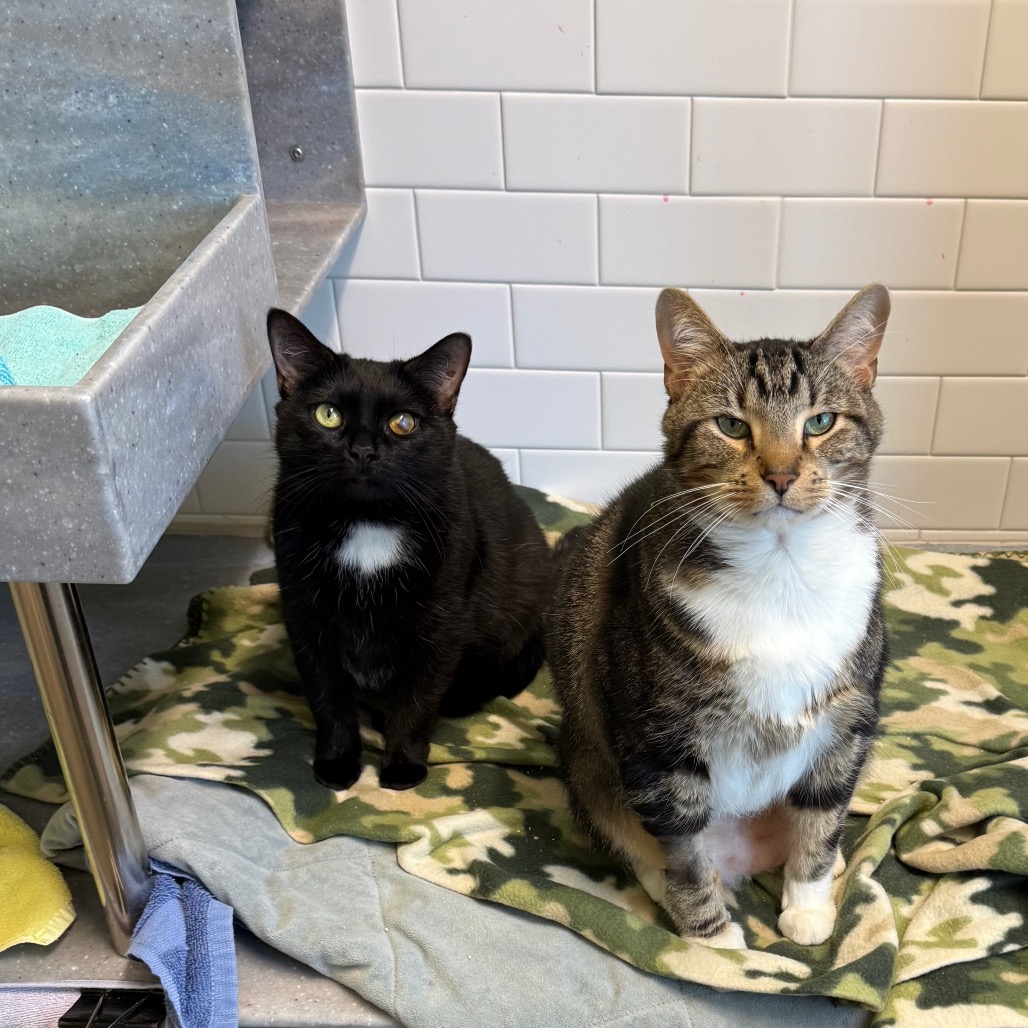 Photo of Hope and Tucker 11