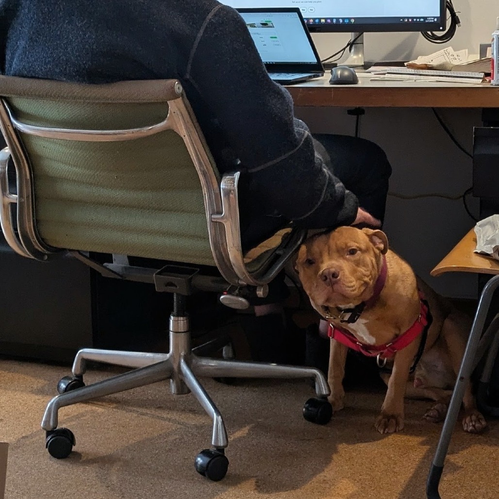 Photo of Minestrone 7