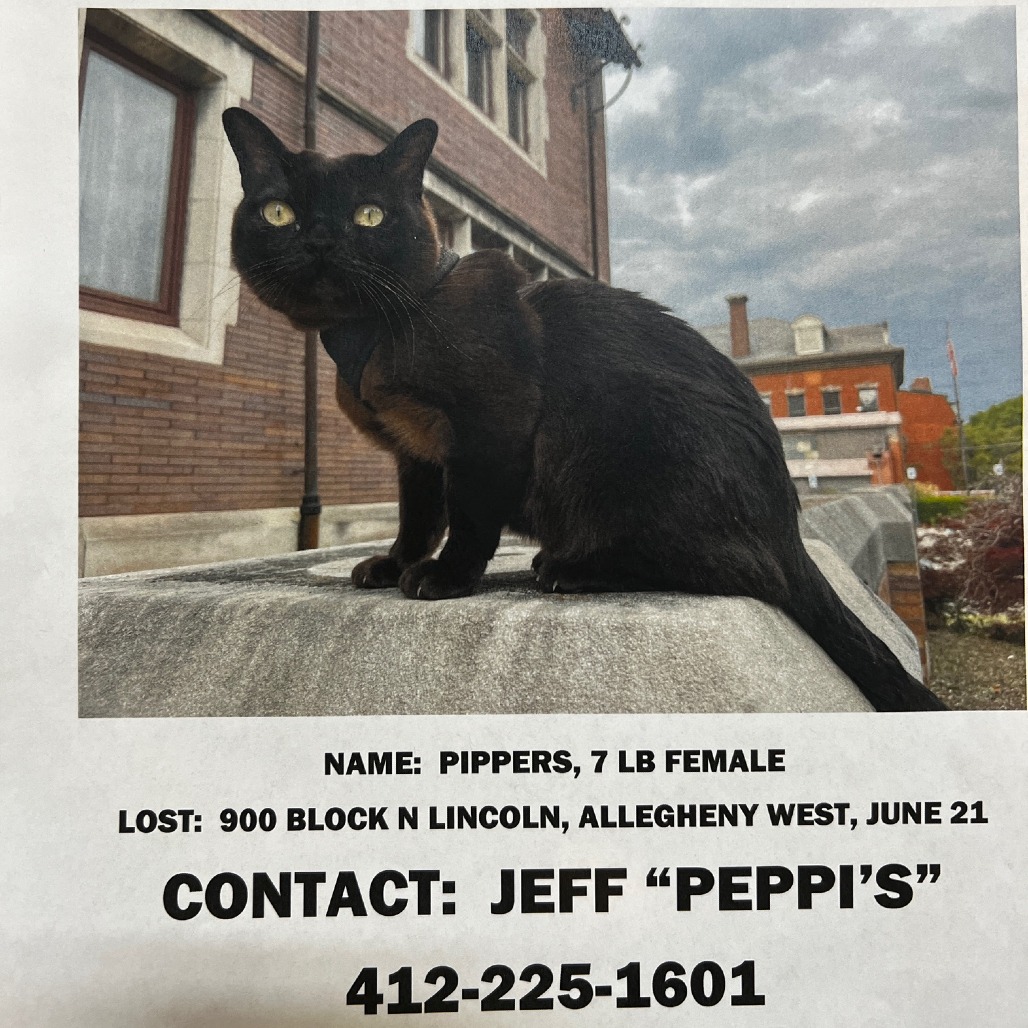 Photo of Pippers 3