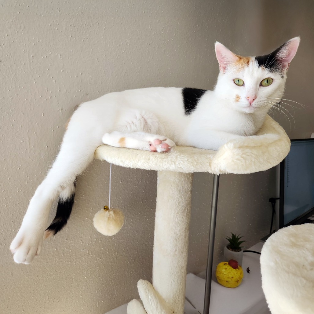 Samantha — thumbnail 7