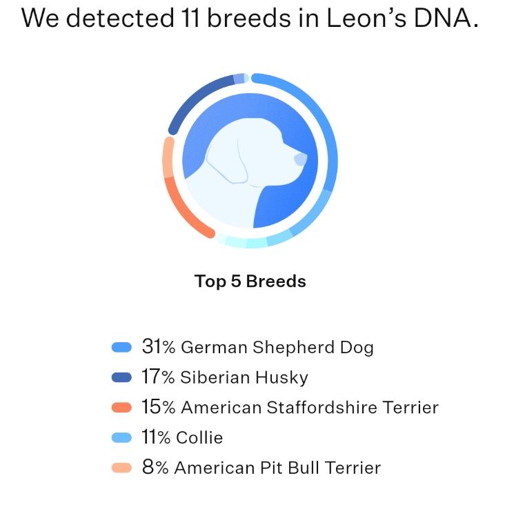 Leon — thumbnail 4