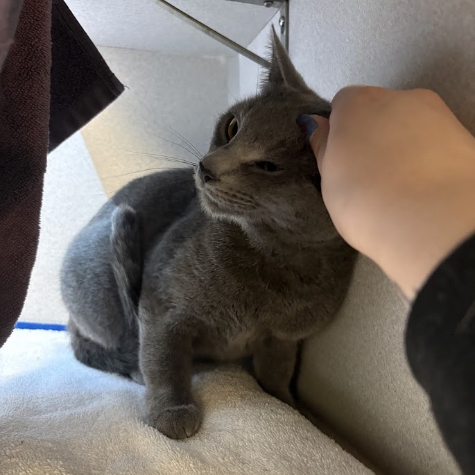 Photo of Smokey 3