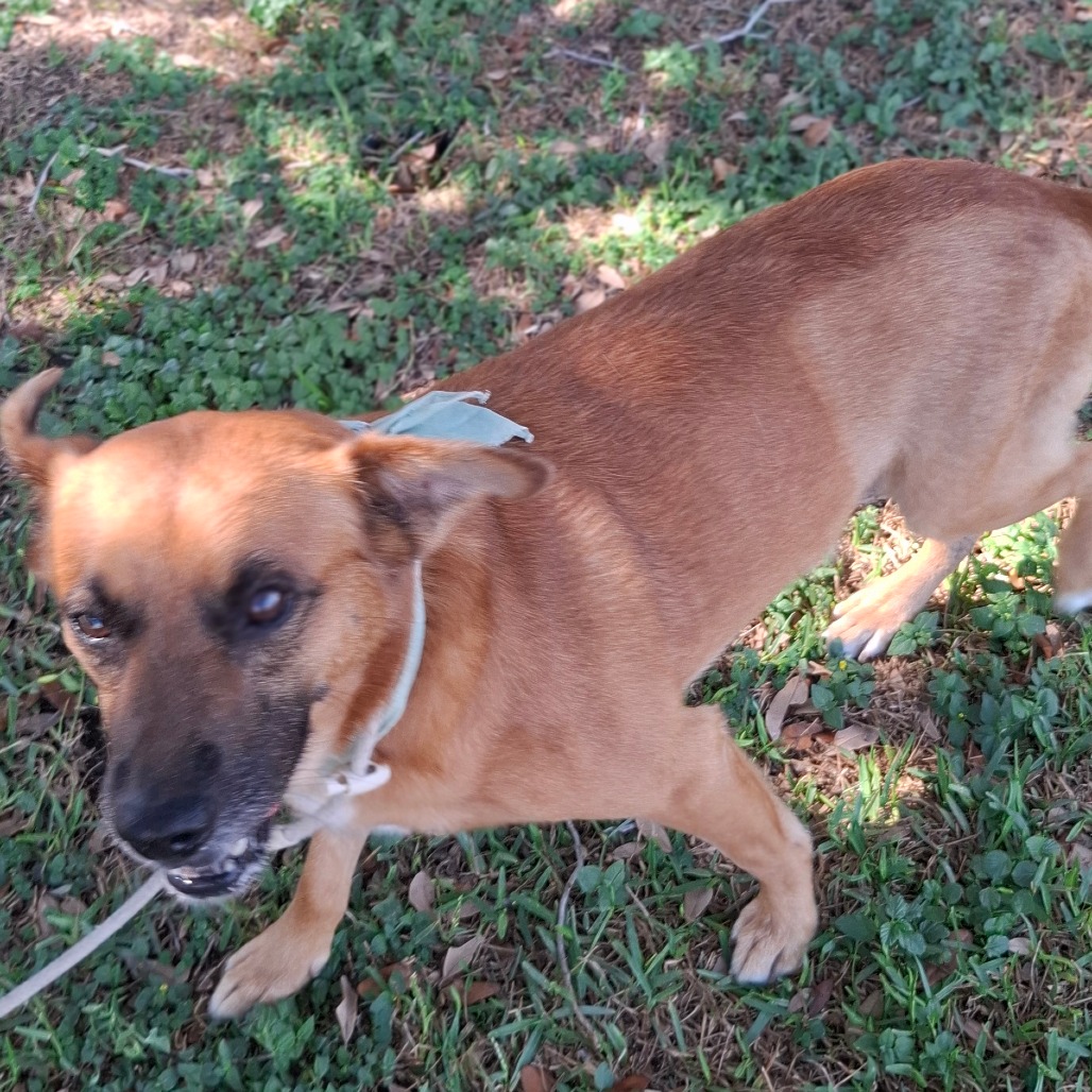 Mowgli photo 15
