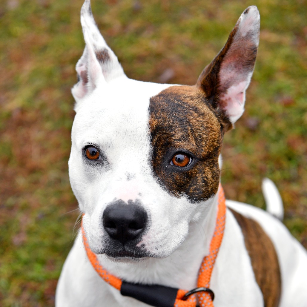 61af6b324ef3368f1ffa8b69263e8836