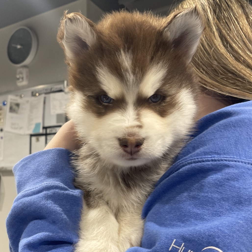 Jeff — thumbnail 3