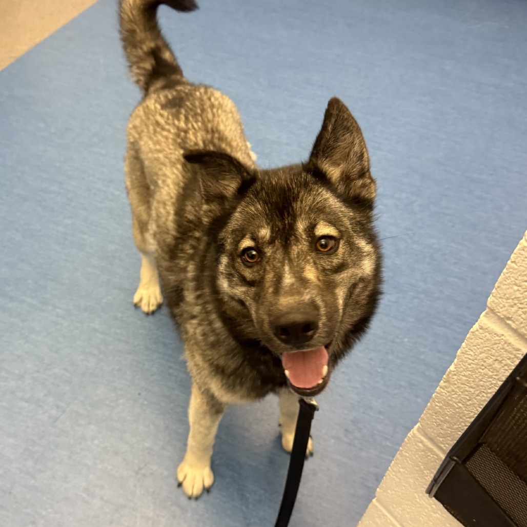 Photo of Blitzen 5