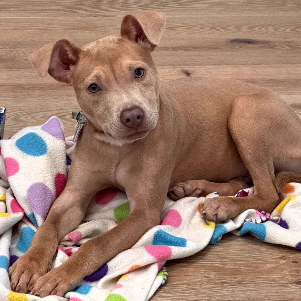 Cole — thumbnail 3