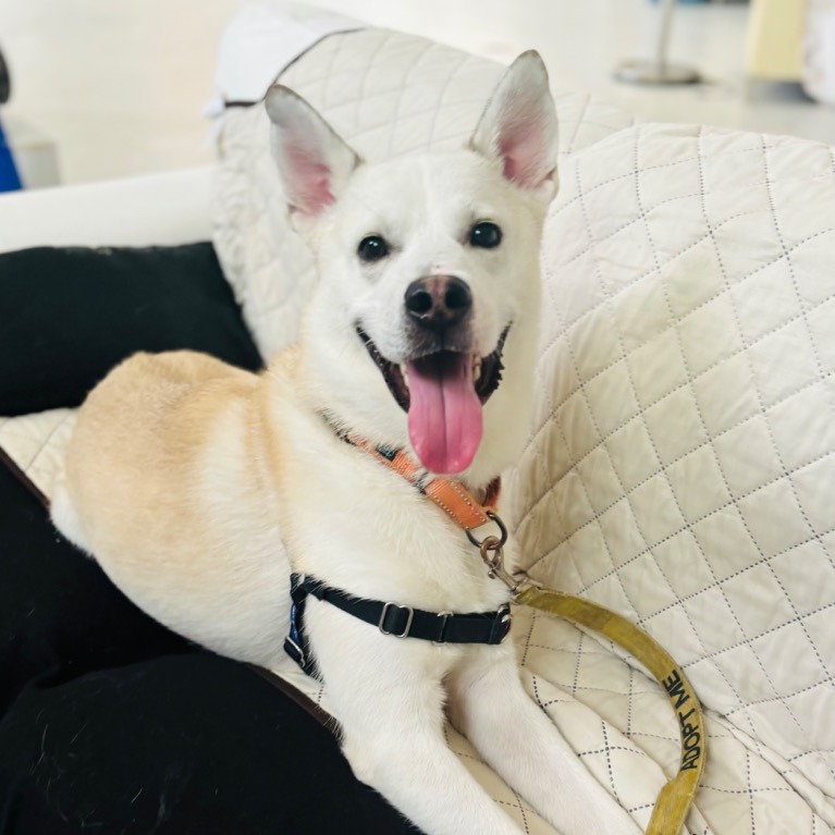 Close-up photo of Austin