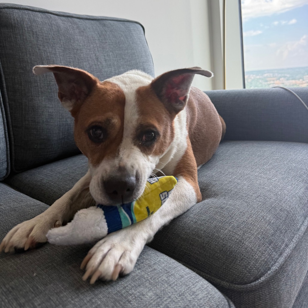 Daisy, additional photo