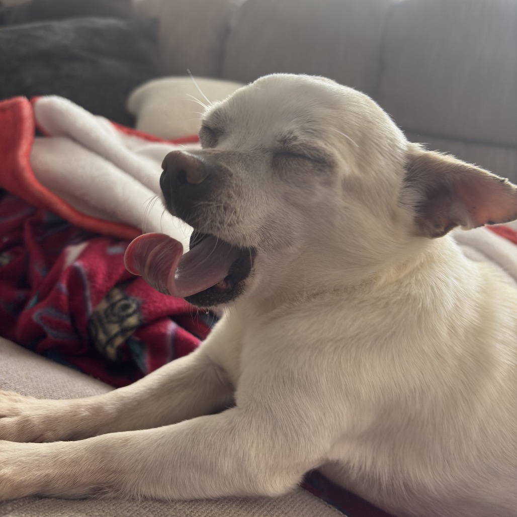 Benny — thumbnail 5