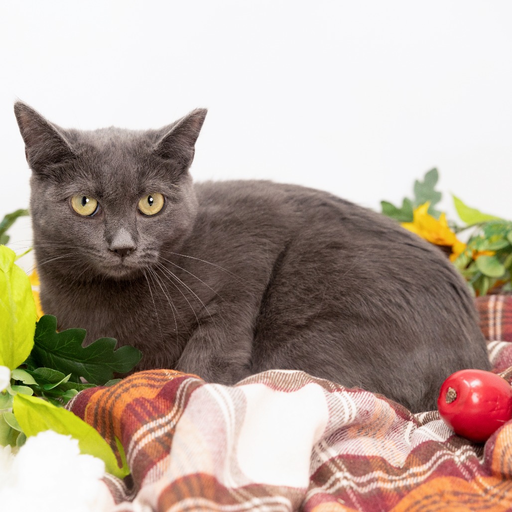 Loretta — thumbnail 4