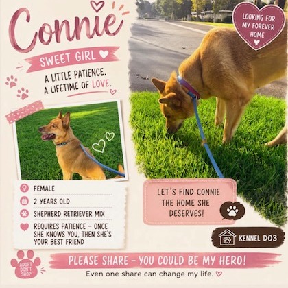 CONNIE, photo 10