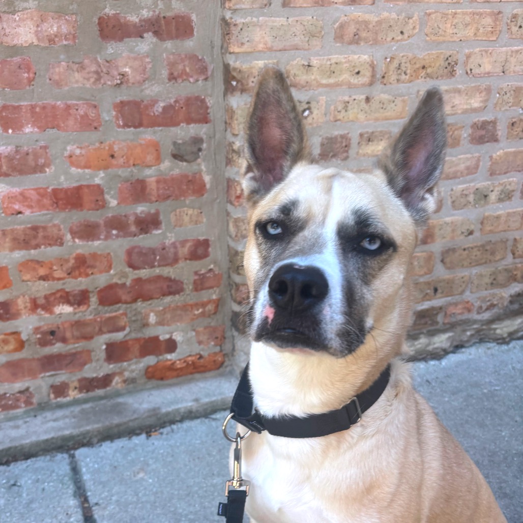 Aliza — thumbnail 5