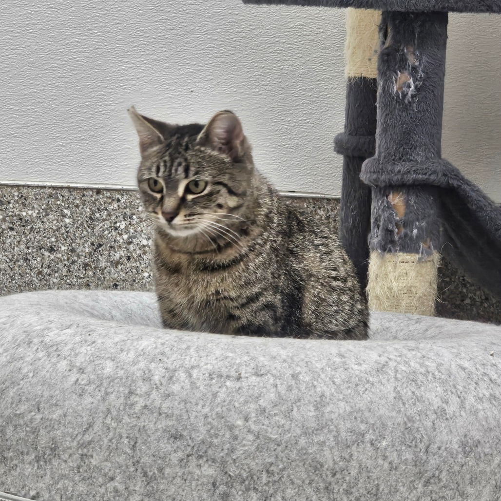 Breeze — thumbnail 5