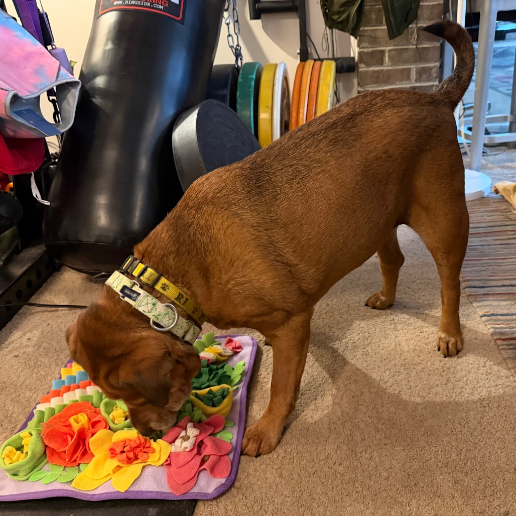Zoey, photo 37