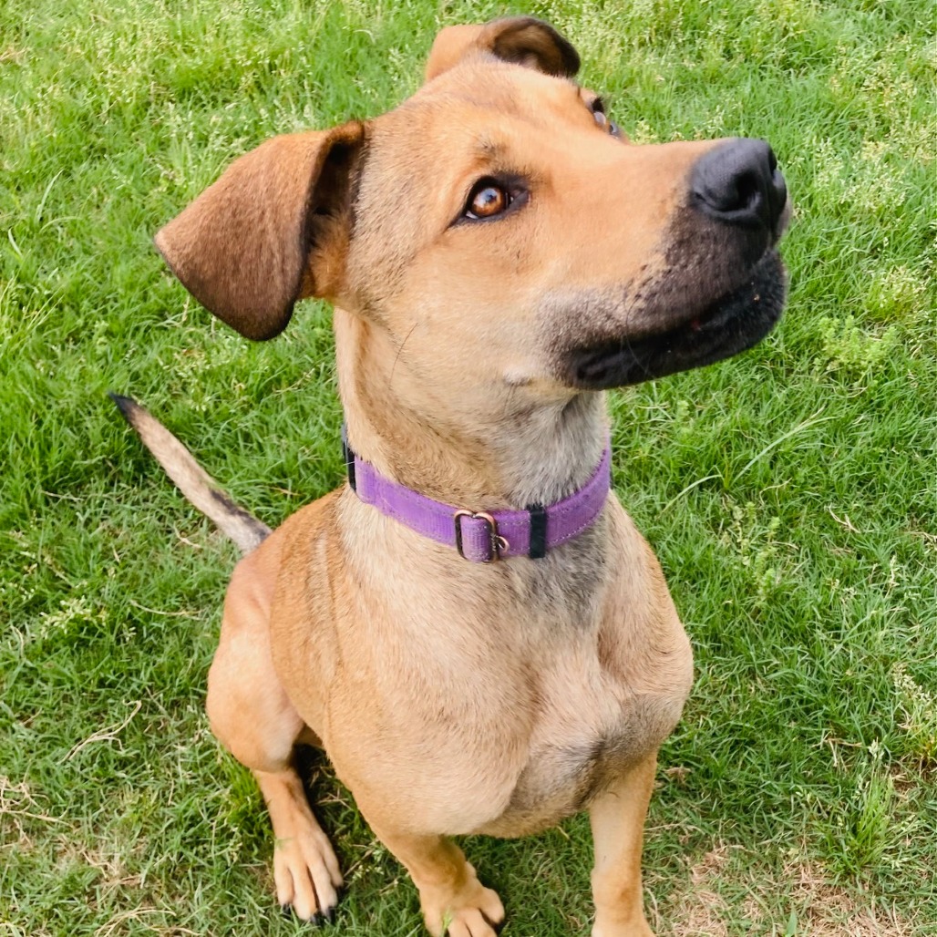 Perdita, photo 3