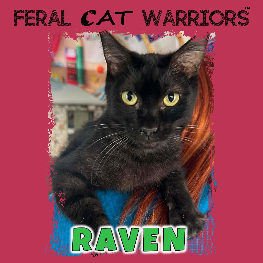 Raven