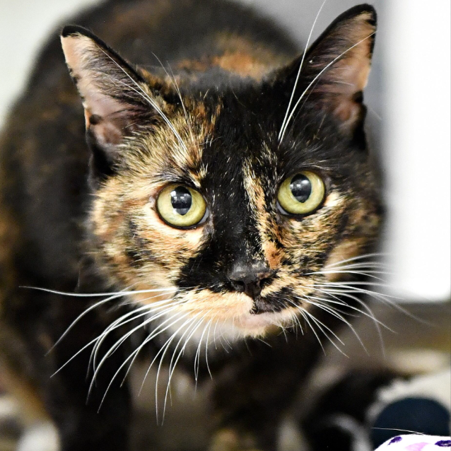 901ef6b858f345d01e170d4fb2811be6