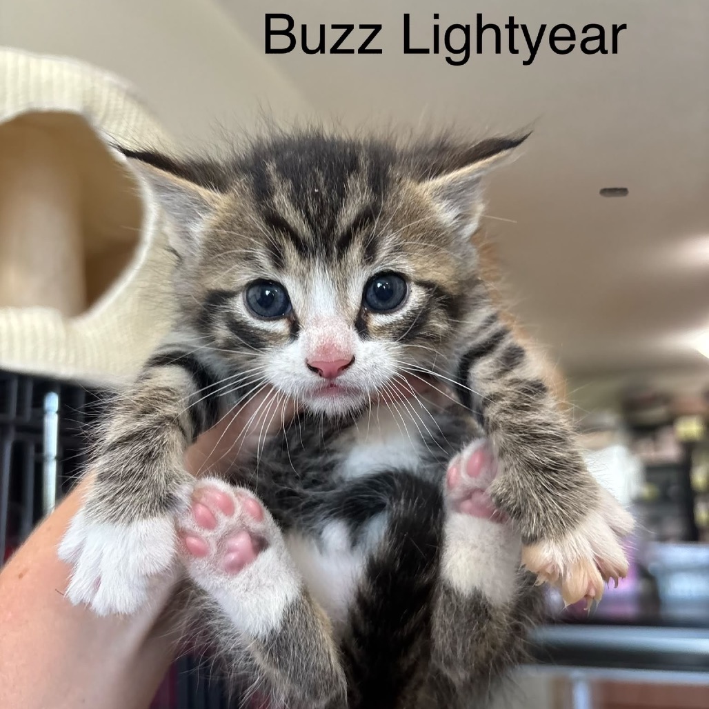 12735