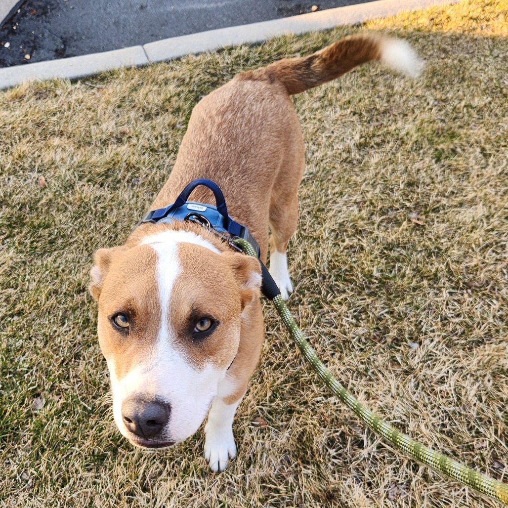 Shadow — thumbnail 5