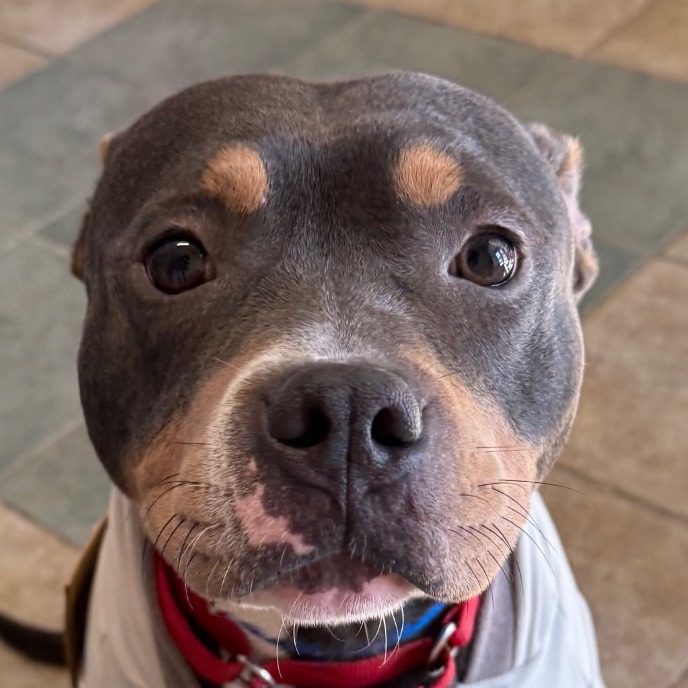 Todo — thumbnail 11