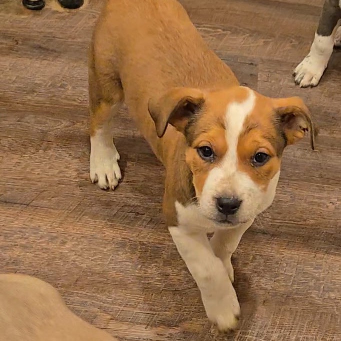 Volunteer — thumbnail 3