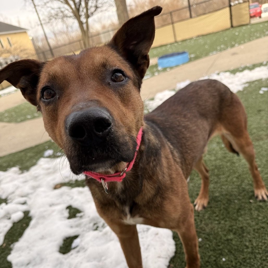 Mr. Sideways — thumbnail 7