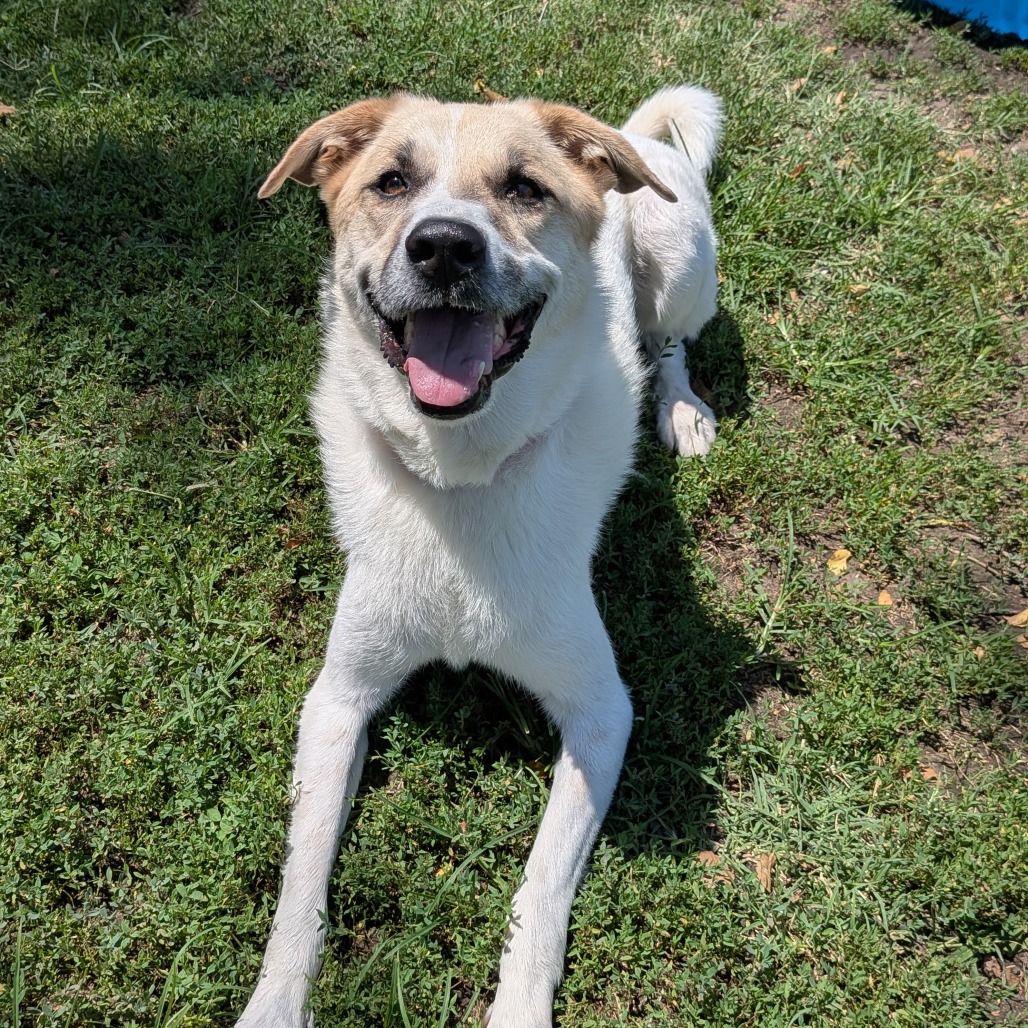 Charlie photo 21