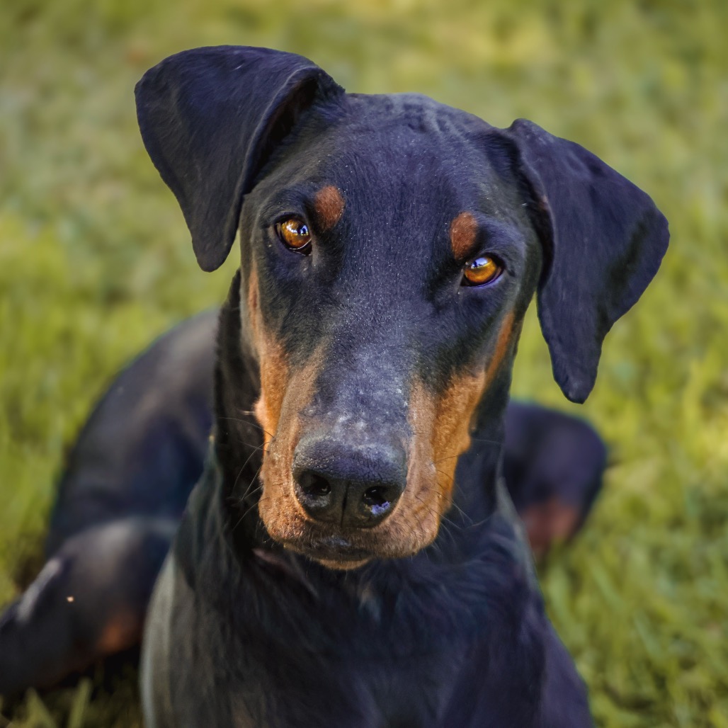 SHEENA, photo 6