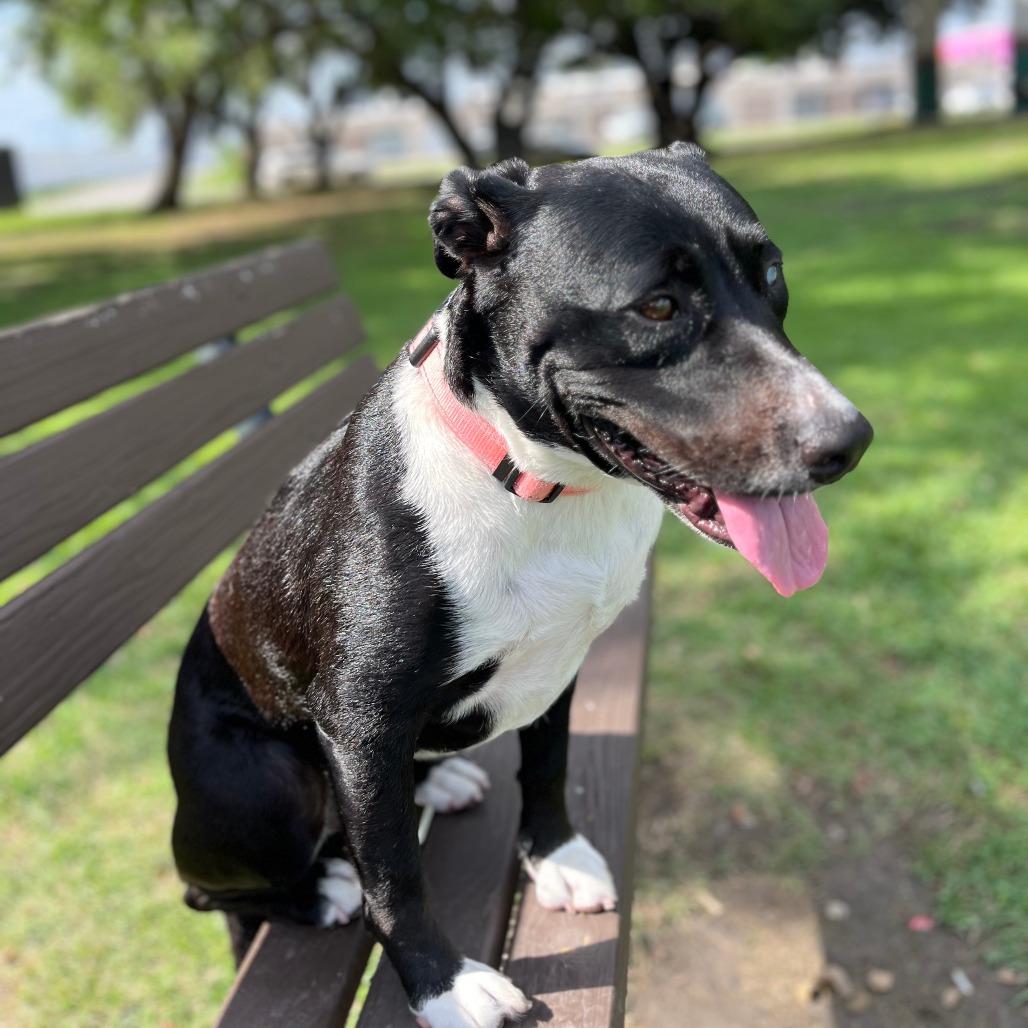 Lola, photo 20