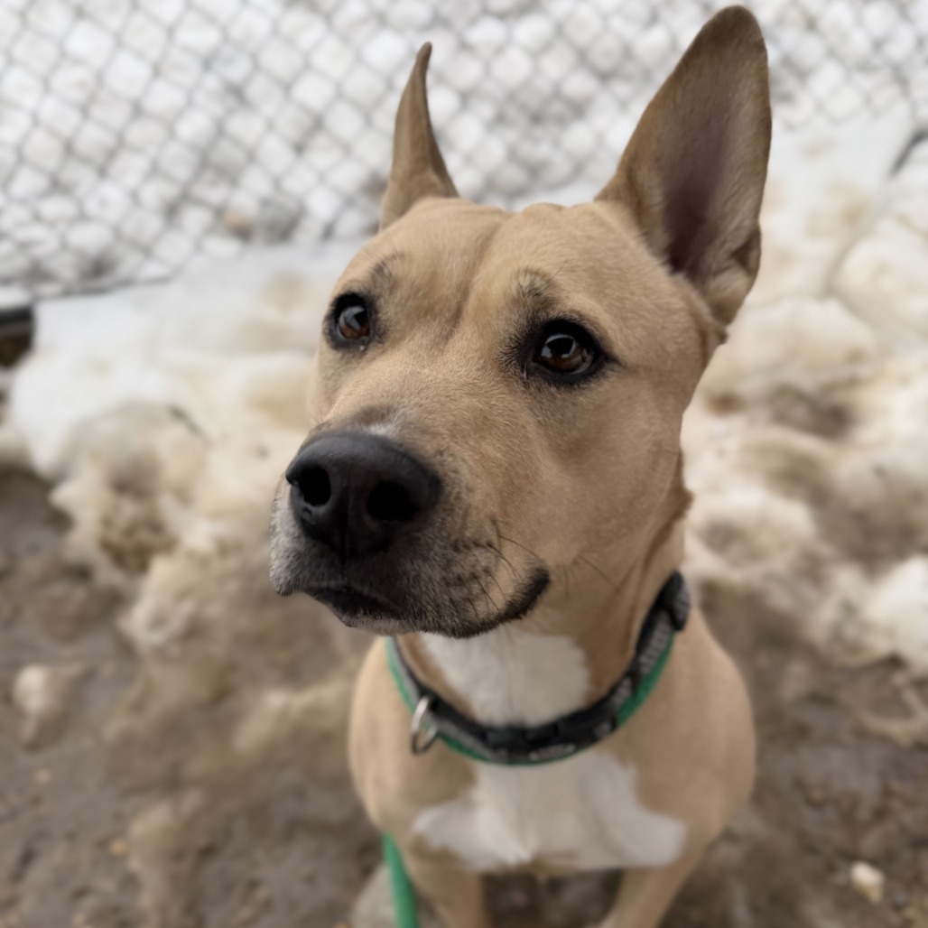 Marla — thumbnail 2