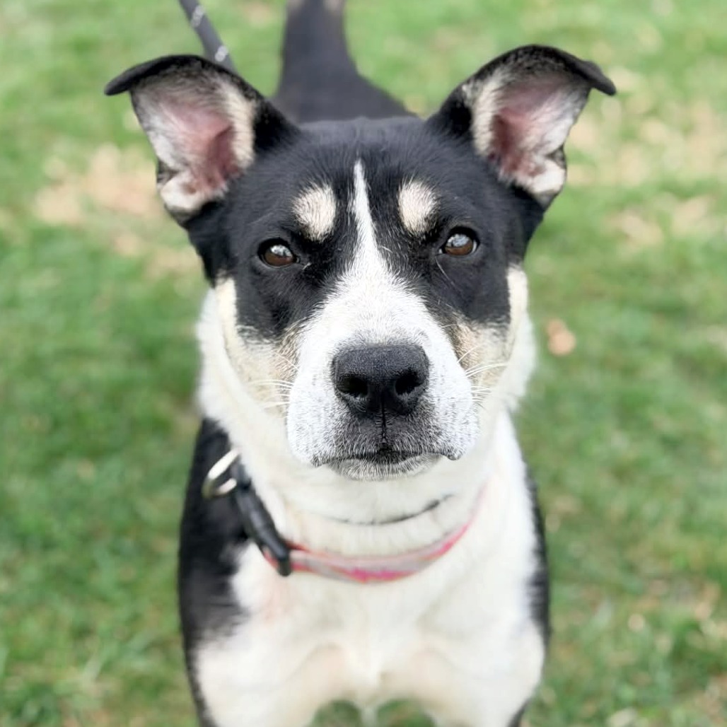 Ella — thumbnail 4