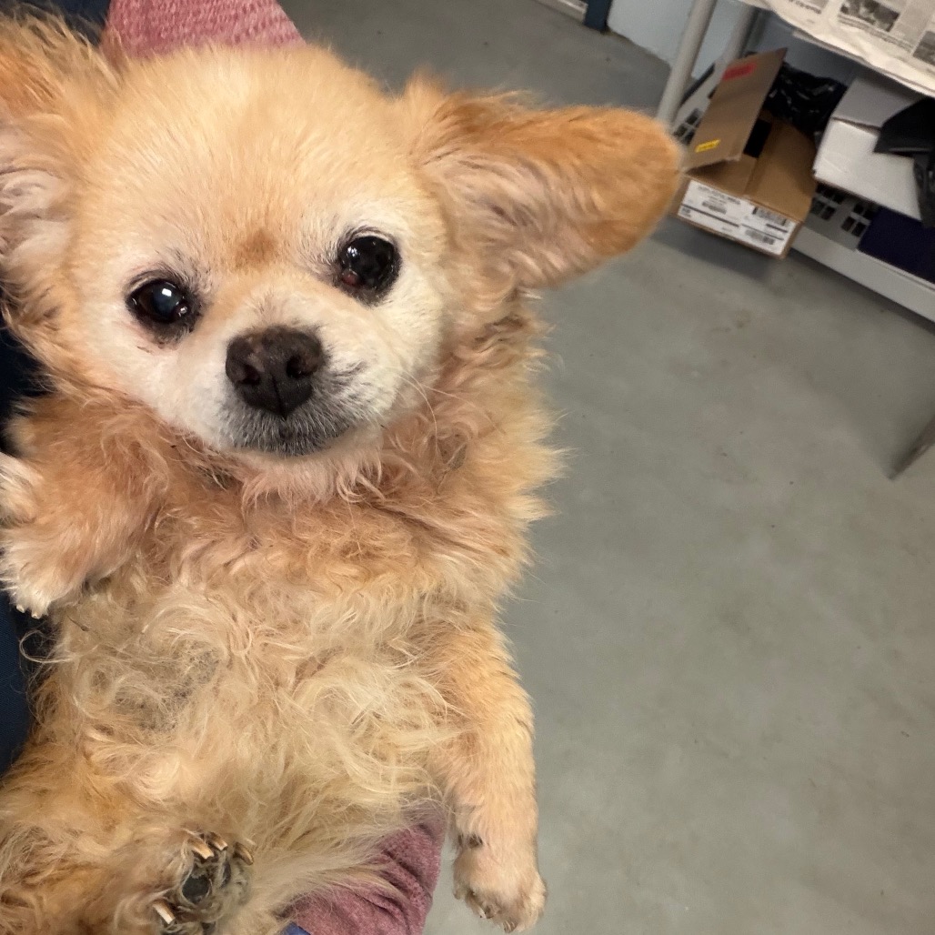 Alicia — thumbnail 3